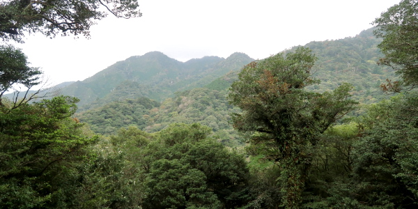 Yakushima