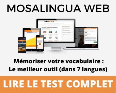 MosaLingua Web